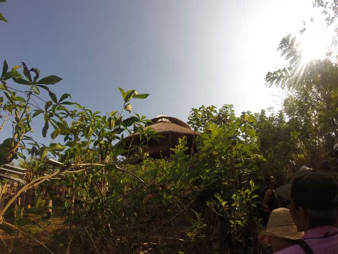 Bali Green School GoPro Ace News